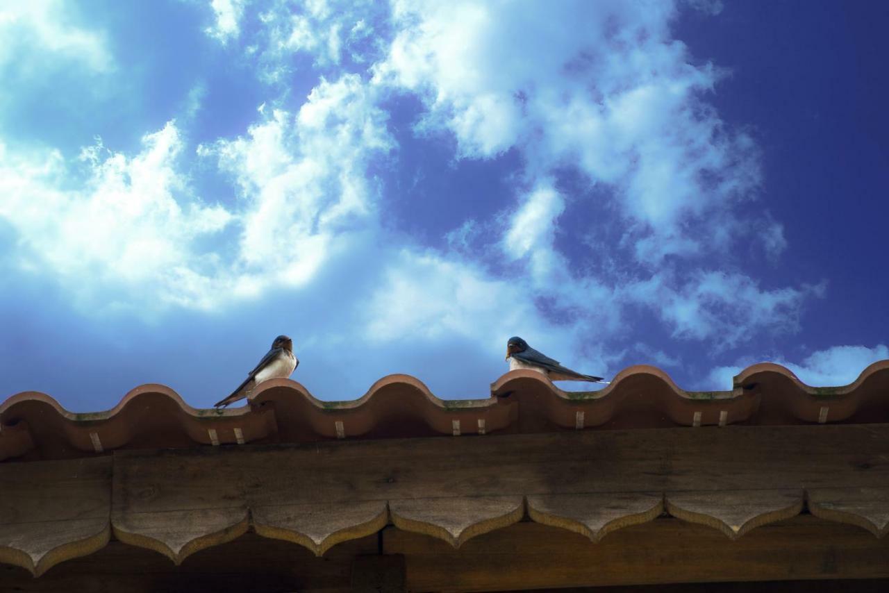 Toong Homestay 하 기앙 외부 사진